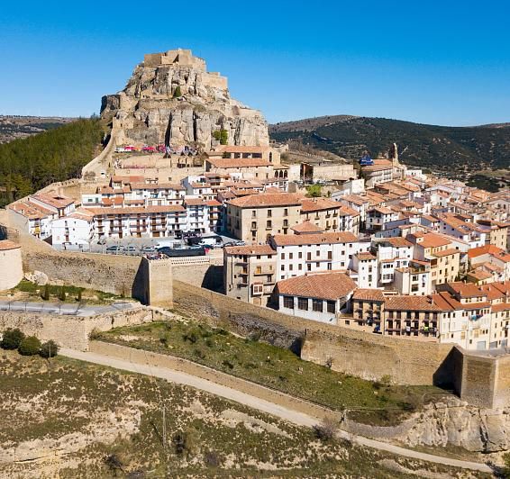 Morella